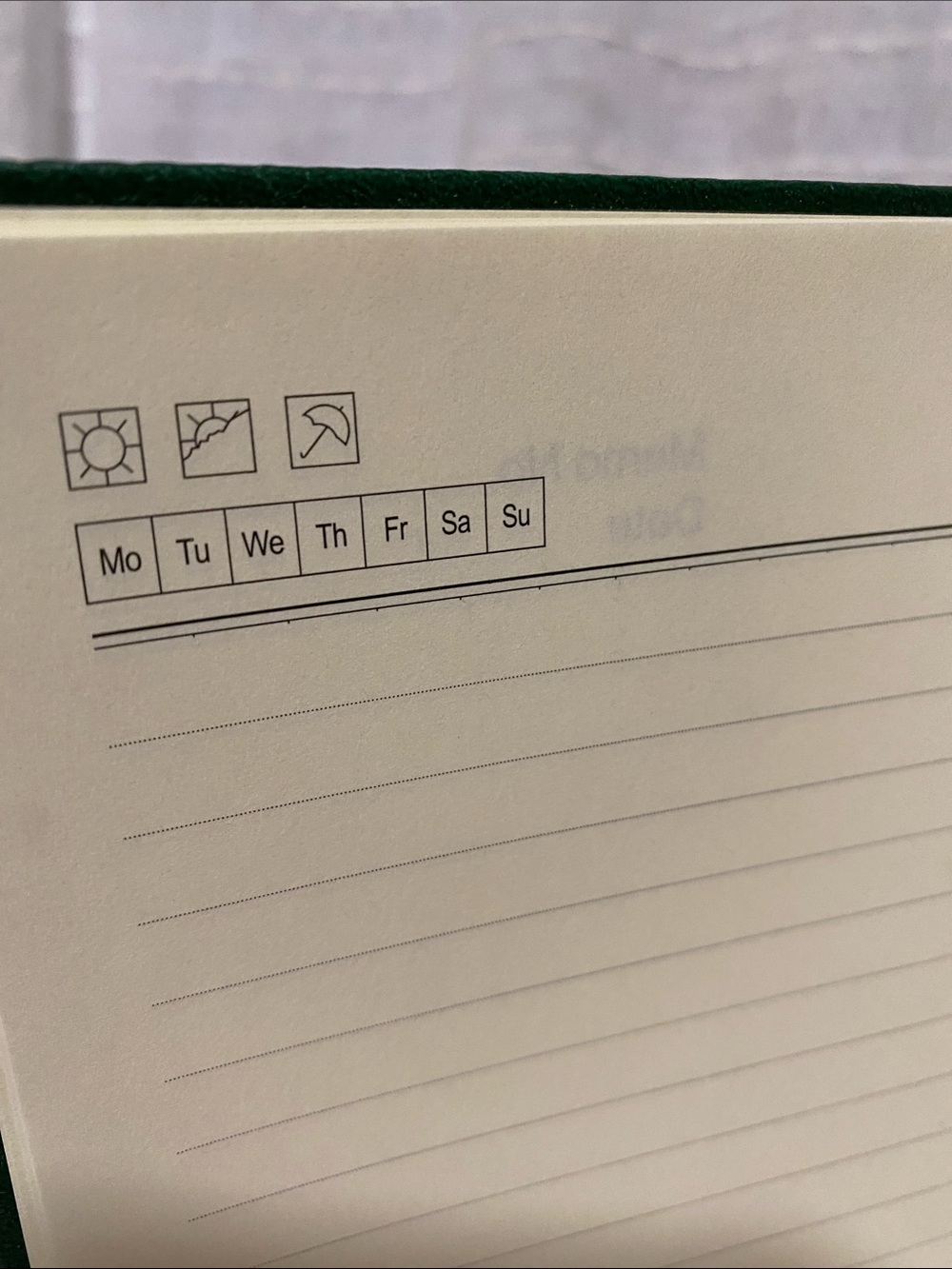 Green Embossed Tree Ruled Notebook - Picture 8 of 11